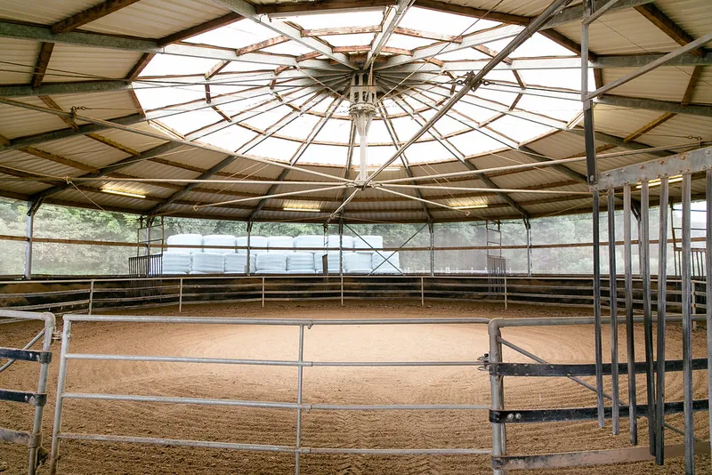 Führanlage und Longierzirkel im Reitstall Pulheim