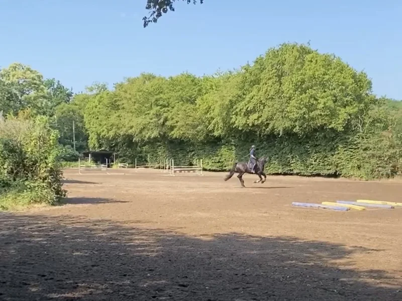 Reiterin auf dem Außen-Springplatz des Reitstalls Pulheim